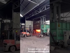 Barre pre-riscaldate provenienti da Furance per la forgiatura di flange in acciaio inossidabile/acciaio al carbonio