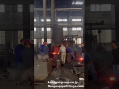 Forgia a stampo aperto per la lavorazione delle flange - ASME/ANSI B16.5/B16.47 Flange