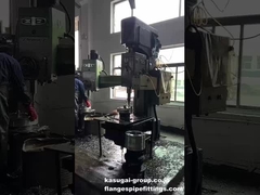 Perforazione a bullone di flange in acciaio inossidabile/acciaio al carbonio